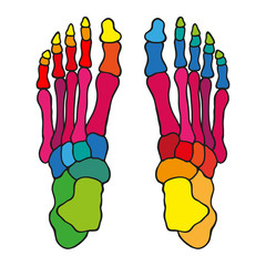 Kolorowe kości © ZYTA.eM