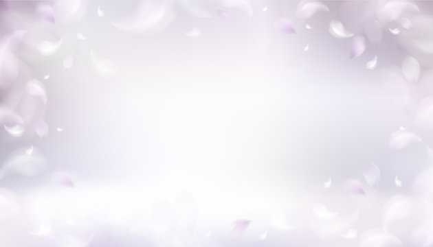 Soft spring background with purple blurred flower petals