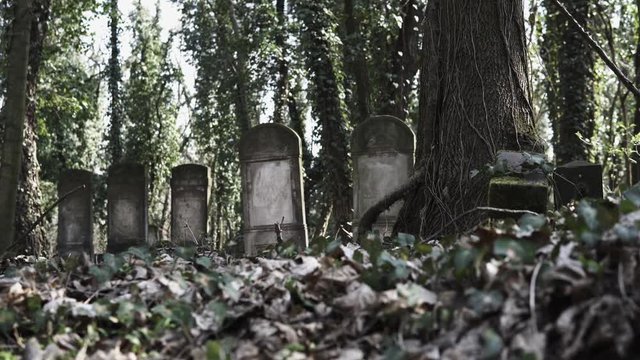 Horizontal camera slide on old jewish cemetery located in the city of Czestochowa in Poland with destroyed matzevah