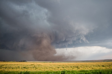 Fototapeta na wymiar A large tornado fills the air with a huge cloud of dust under a supercell storm.