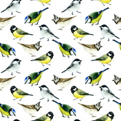 Watercolor drawing of tit birds. Seamless pattern