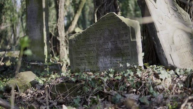 Horizontal camera slide on old jewish cemetery located in the city of Czestochowa in Poland with destroyed matzevah