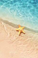 Fototapeta na wymiar Starfish on the summer beach. Summer background. Tropical sand beach