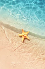  Starfish on the summer beach. Summer background. Tropical sand beach © Belight