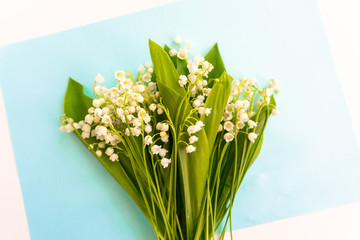 Obraz premium ..Bouquets of lily of the valley on a blue background. Romantic postcard.