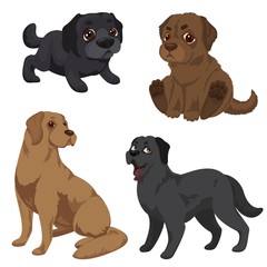 Labrador icons set. Cartoon set of labrador vector icons for web design