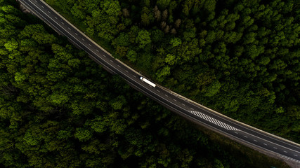 The road artery leads through the forest