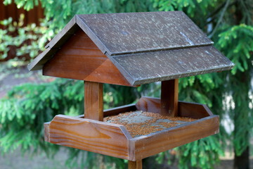 Bird feeder in the form of a house, made of wood and installed in the park.