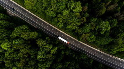 The road artery leads through the forest