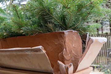 broken terracotta flower pot. Frost damage.