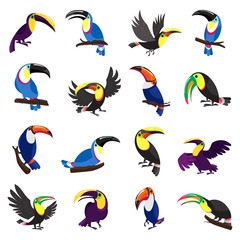 Toucan icons set. Cartoon set of toucan vector icons for web design © anatolir