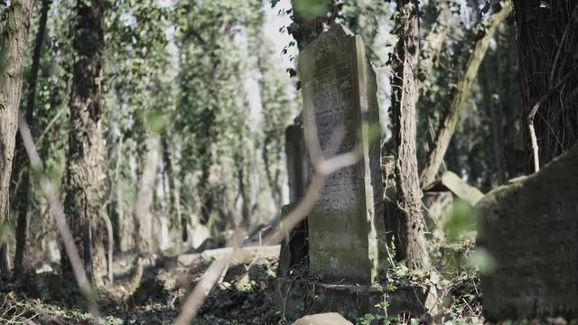 Horizontal camera slide on old jewish cemetery located in the city of Czestochowa in Poland with destroyed matzevah