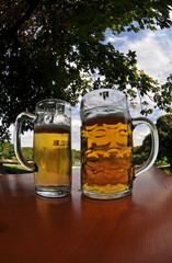 German Beer