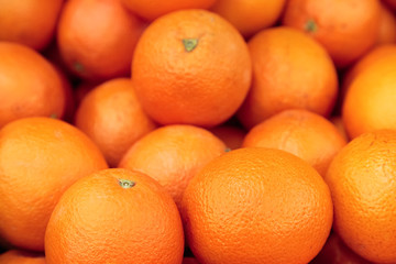 Fresh Orange Fruit close-up