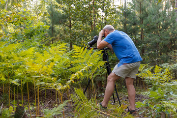 Male photographer with a camera engaged in shooting in the forest.