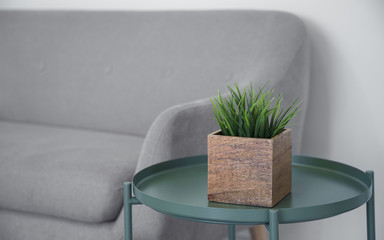 Wooden cube plant pot on green metal modern table