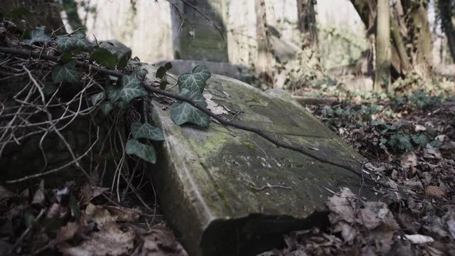 Horizontal camera slide on old jewish cemetery located in the city of Czestochowa in Poland with destroyed matzevah