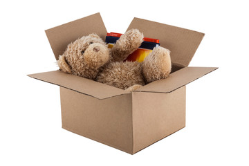 Teddy Bear in cardboard box isolated on white background