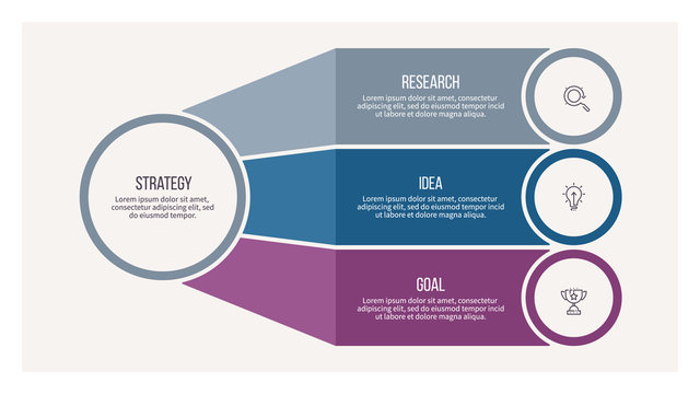 Business infographic. Organization chart with 3 options. Vector template.