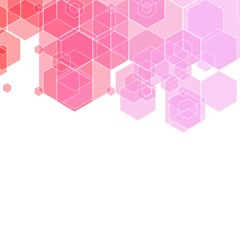 Vector Abstract geometric background. Template brochure design. pink hexagon shape. eps 10