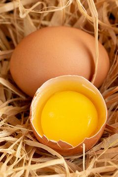 Cracked egg on straw
