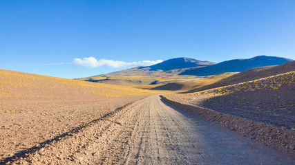 Fototapeta na wymiar Dirt track close to Tolar Grande, in the vastity of Puna, Argentina