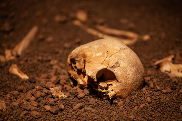 Skull and bones digged from pit in the scary graveyard which has dim light. Still life and art image