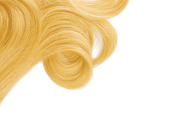 Blond hair isolated on white background. Backdrop with copy space