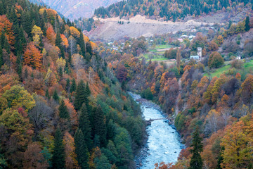 colorful trees in the mountains of Svaneti in the fall. Beautiful landscape