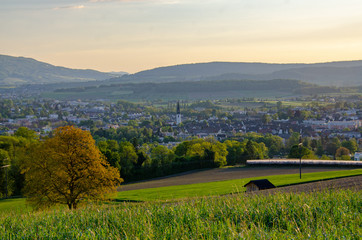 Stadt Bülach in der Dämmerung vom Eschenmosen, Schweiz