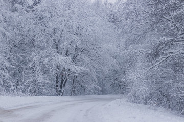 Winter snowy road. Branches of snowy trees hang over the road. Winter landscape. Journey in the winter.