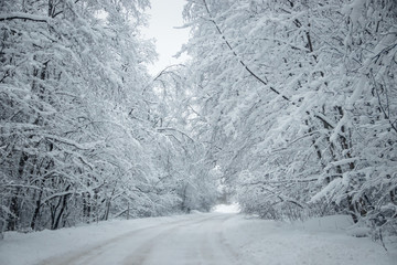 Winter snowy road. Branches of snowy trees hang over the road. Winter landscape. Journey in the winter.