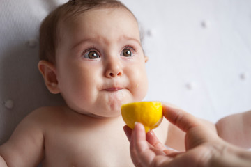 portrait of baby eating lemon
