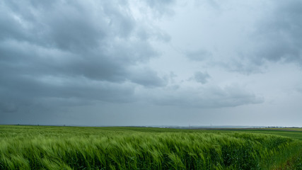Fototapeta na wymiar Rainy clouds on a green field
