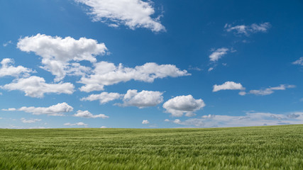 Сlouds in the rural area. 