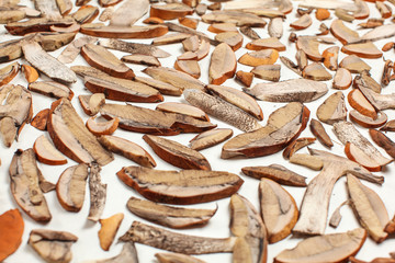 Thin slices of forest mushrooms - orange cup scaber stalk variety - leaved on white paper to dry