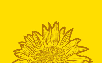 Design of nice sunflower illustration
