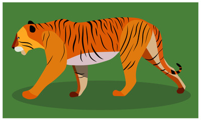 Amur tiger illustration wild cat zoo animals tropical jungle