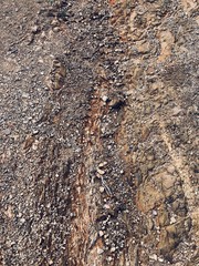 Geological Rocks
