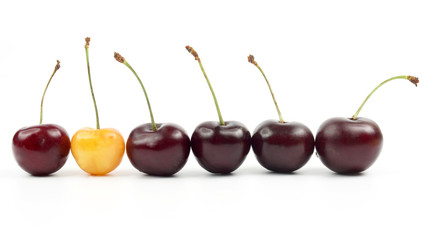 berries cherries on white background