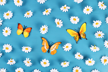 Yellow and orange butterflies and daisies on blue background. Top view. Summer background. Flat lay.