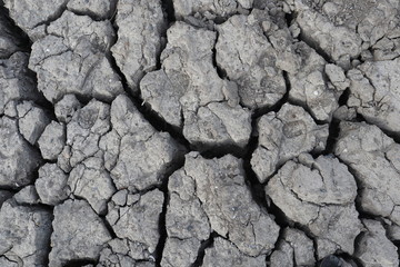 Cracked earth with shells