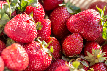 strawberry macro background close up
