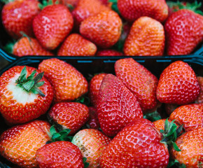 Strawberries in containers. Harvest of berries. Tasty and healthy food.