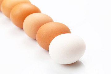 eggs are on a white background.