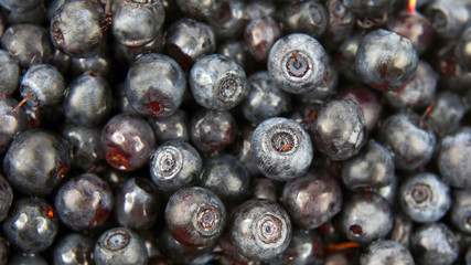 plenty of fresh blueberries closeup. vitamin healthy food.