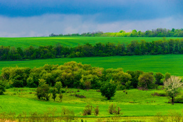 Beautiful landscape, green and yellow field. Dramatic sky with clouds.