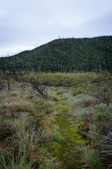Dead forest of mount Papandayan is the most popular place for tourist. The beauty of heritage of volcanic eruption on the past. Papandayan Mountain is one of the favorite place to hike on Garut.