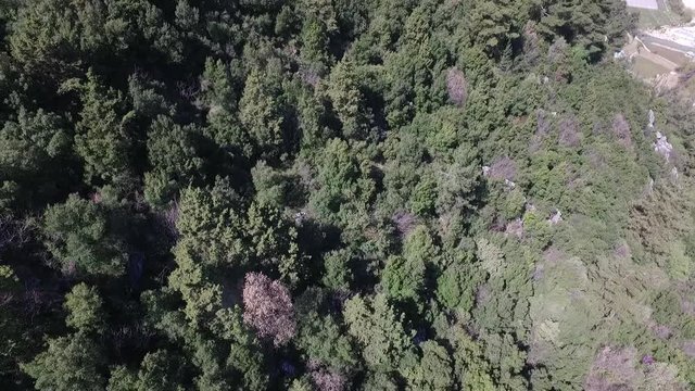 Aerial vieo of forests and mountains at Lassa, Mount Lebanon