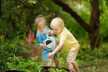 Cute little boy and girl watering plants in the garden at summer sunny day. Mommy little helpers.